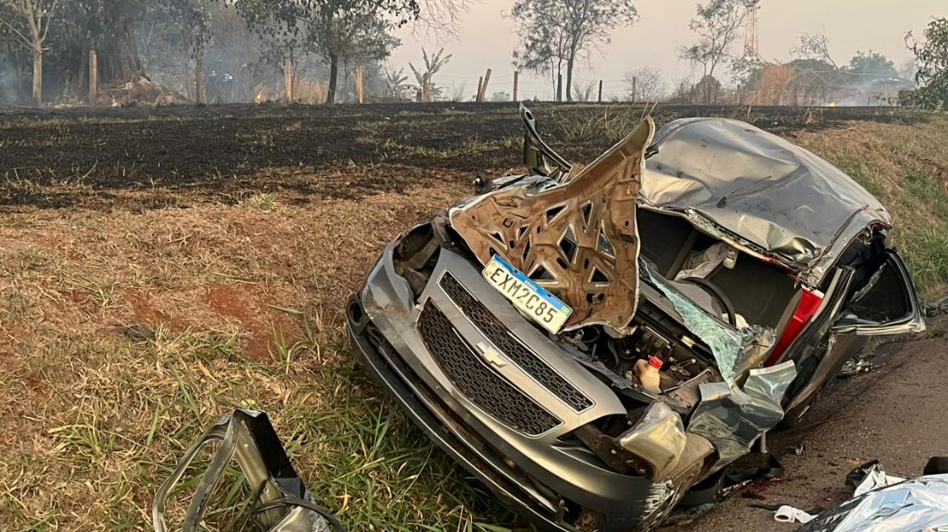 Foto 3 de 3 — Árvore cai sobre carro, mata motorista e deixa passageira ferida na SP-310 em Araraquara